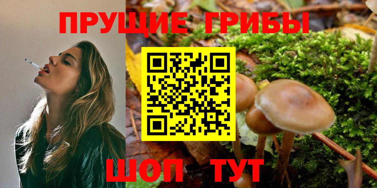 Псилоцибиновые грибы ЛСД Электросталь